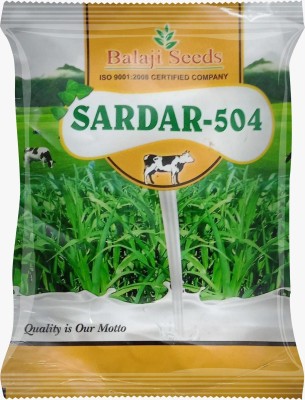 Sardar 504